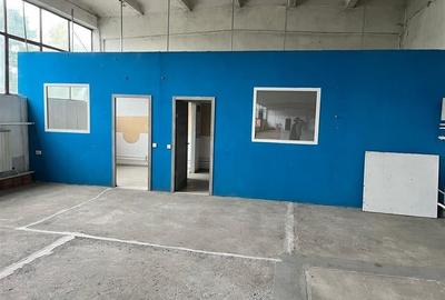 HALA DE INCHIRIAT, 540 MP HALA DE INCHIRIAT, 540 MP - 1