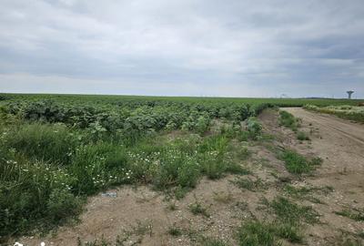 Teren de 14832 mp, în Central - 8