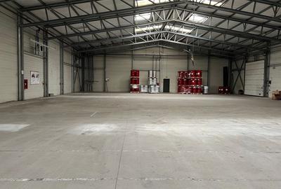 Spatiu de depozitare si productie Iuliul Maniu - 8