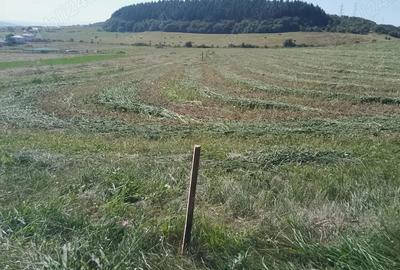 Teren de 8000 mp, în Chinteni - 12