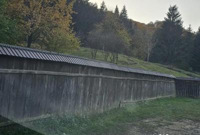 Casă cu 3 camere în Central - 1