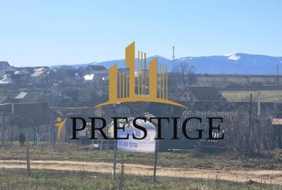 Teren agricol extravilan de 873 mp, în Șura Mică - 8