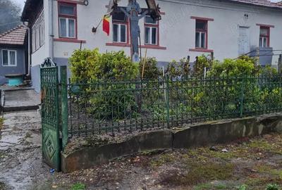 Casă cu 6 camere cu Teren 6000 Mp în Diviciorii Mici - 10