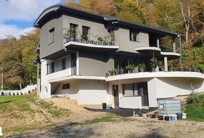 Casă cu 5 camere decomandat cu Teren 4700 Mp în Valea Roșie - 9