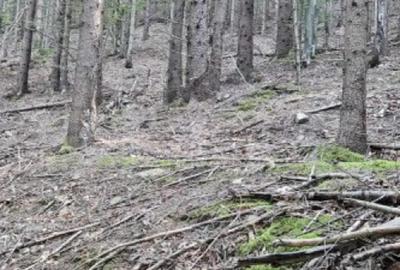 Teren de 17500 mp, în Central - 1