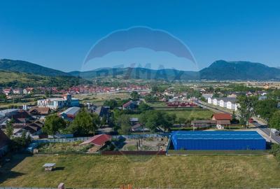 Teren Industrial, 3300 mp, / DJ 112D, Carpinis - 5