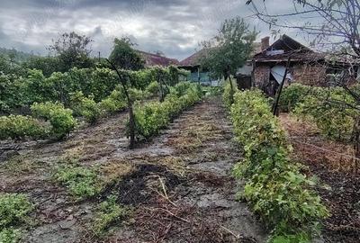 Casă cu 6 camere în Diviciorii Mici - 6