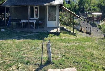Casă cu Teren 5282 Mp în Central - 3