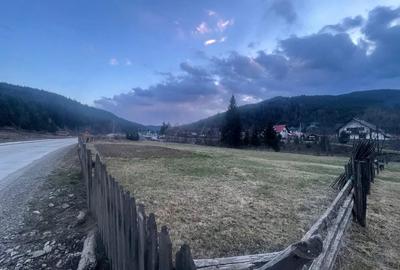 Spațiu comercial, în Brodina - 6