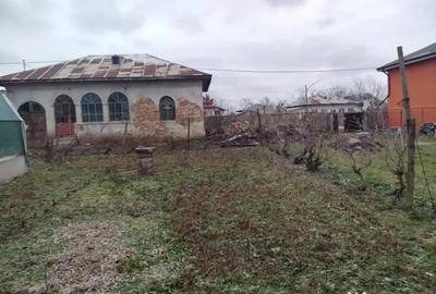 Teren de 1080 mp, în Coșoveni - 5