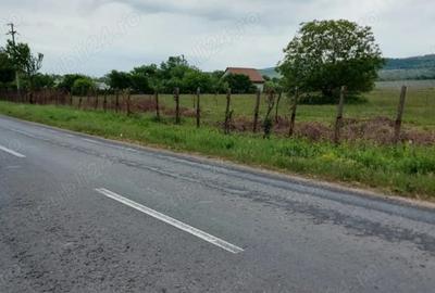 Teren de 11780 mp, în Merei - 4