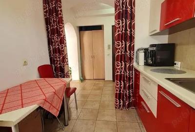 Apartament cu 2 camere semidecomandat în Vest - 10