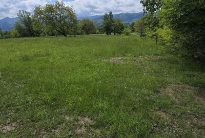 Teren Construcții intravilan de 715 mp, în Prundu Bârgăului - 3