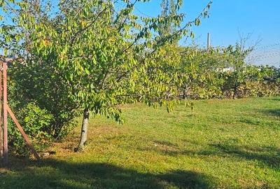 Teren Construcții intravilan de 4900 mp, în Balotești - 2