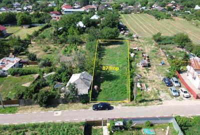 Teren intravilan de vanzare in Campineanca 873mp - 4