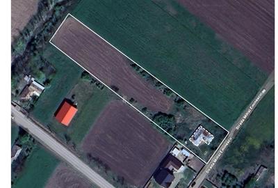 Teren Construcții intravilan de 4870 mp, în Valea lui Ion - 2