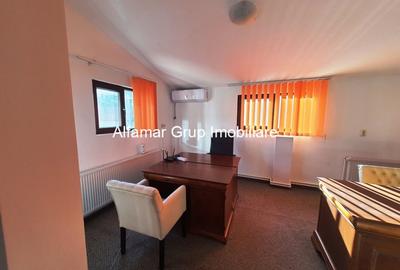 Ideal gradinita, afterschool, birouri- casa 9 camere Sebastian - 6