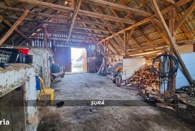 Casă cu 3 camere cu Teren 3724 Mp în Apa - 5