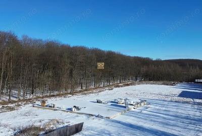 Teren Intravilan langa Padure 10.000 mp 1 hectar Suceava - 7