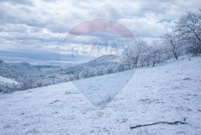 De vânzare două terenuri intravilane în Inuri ,DJ 705C - 1