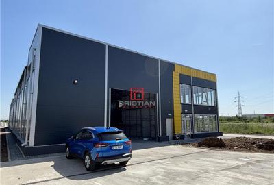 Depozit/hala/spatiu industrial Theodor Pallady - Drumul Int - 3