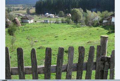 Teren de 2121 mp, în Nucșoara - 4