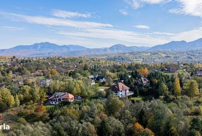 Spațiu comercial, în Predeluț - 6