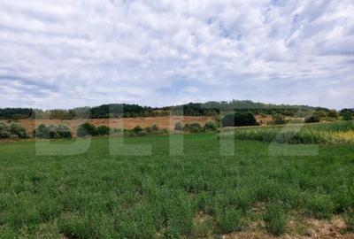 De vanzare teren Fundatura 27500mp - intravilan - 8