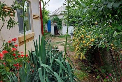 Casă cu 4 camere în Osica de Jos - 7