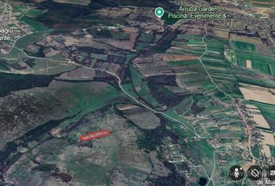 Teren extravilan de 8300 mp, în Uileacu de Munte - 2