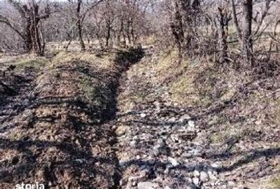 Teren de 140670 mp, în Lapoș - 9