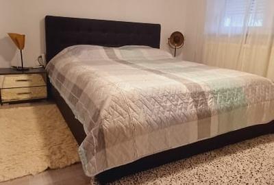 Apartment cu gradina - 2