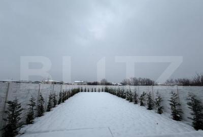 Duplex modern cu 5 camere | teren generos | Dumbravi?a - 17