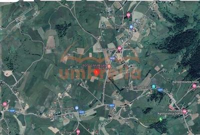 Teren de vanzare intravilan 2.225/? Marisel ! - 3