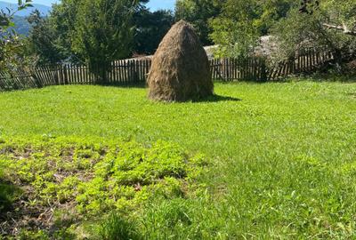 Teren de 11541 mp, în Buhalnița - 2