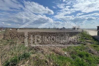 Teren Construcții intravilan de 501 mp, în Nazna - 1