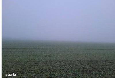 Teren de 4040 mp, în Troianul - 1