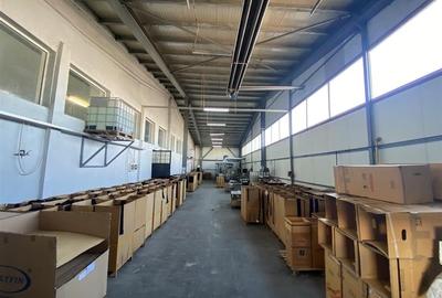 Ansamblu Industrial - Hale - 3027 mp - Teren 12822 mp - Jucu- Cluj - 7