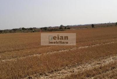 Magurele - Benzinaria Tsv Intravilan 3500 Mp Dubla Deschidere 22/135ml - 6