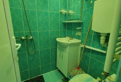 Garsoniera de inchiriat Terezian - 2