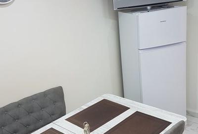Apartament cu 2 camere semidecomandat în Găvana - 5