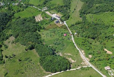 Teren de 12700 mp, în Codru Butesii - 5