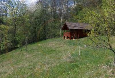 Casă cu 7 camere cu Garaj în Bascov - 5