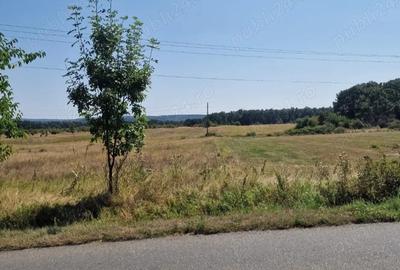 Teren de 12500 mp, în Central - 3