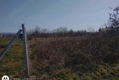 Spațiu comercial, în Central - 3