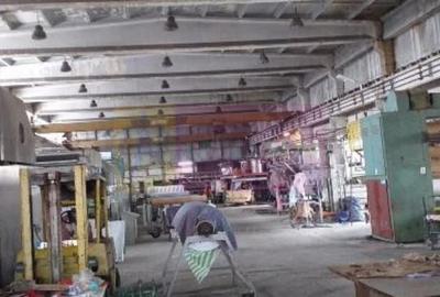 Hala productie 23 August. Hala productie 23 August. - 4