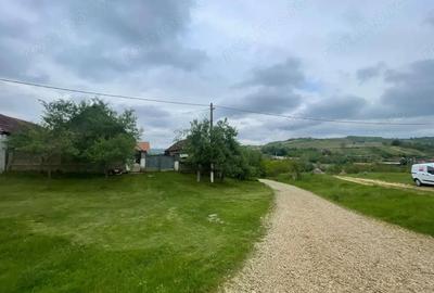 Casă cu Teren 2472 Mp în Burzuc - 3