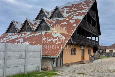 Vila deosebita potential urias- Giarmata Vila deosebita potential urias- Giarmata - 11