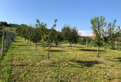 Spațiu comercial, în Șimleu Silvaniei - 4