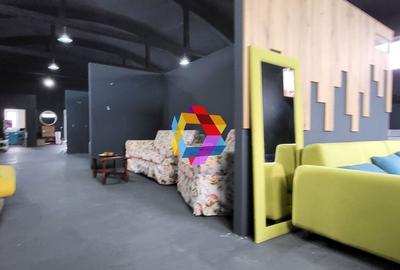 Show room - 250 mp #Plus-imo.ro - 6